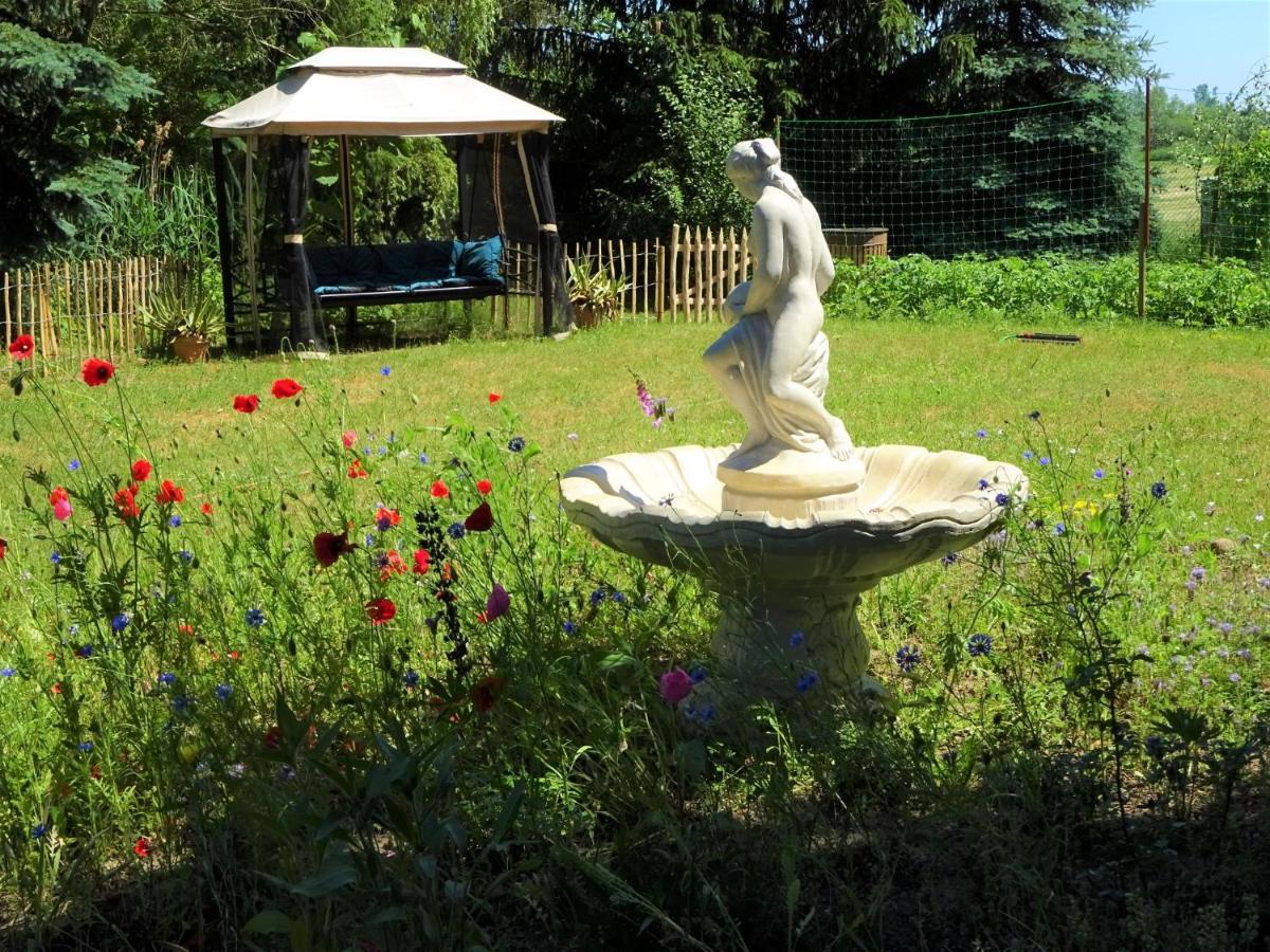 Ferienanlage Waschbaer Country Templin Kültér fotó