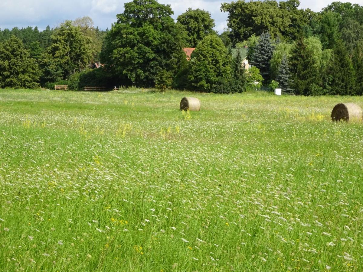 Ferienanlage Waschbaer Country Templin Kültér fotó