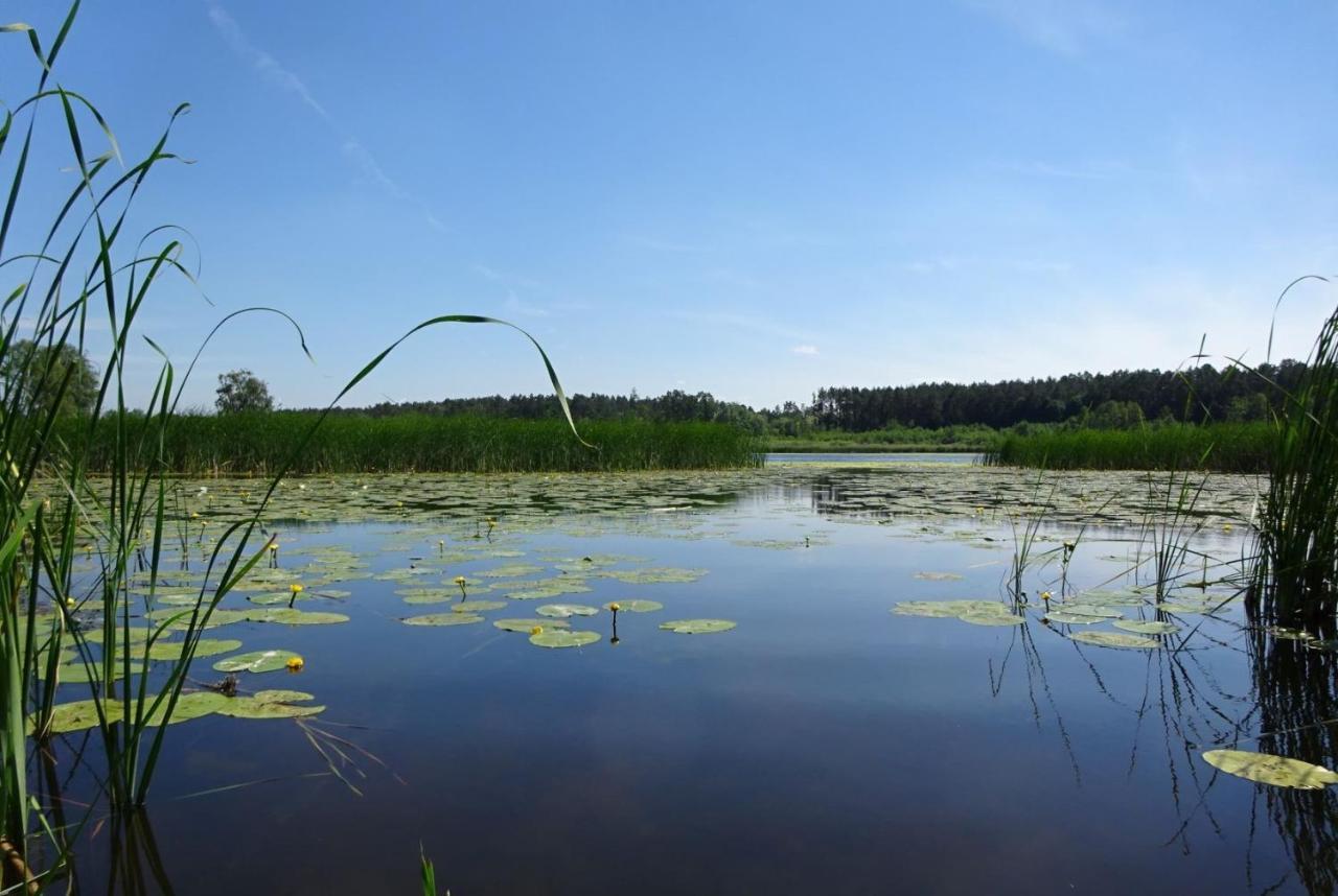 Ferienanlage Waschbaer Country Templin Kültér fotó