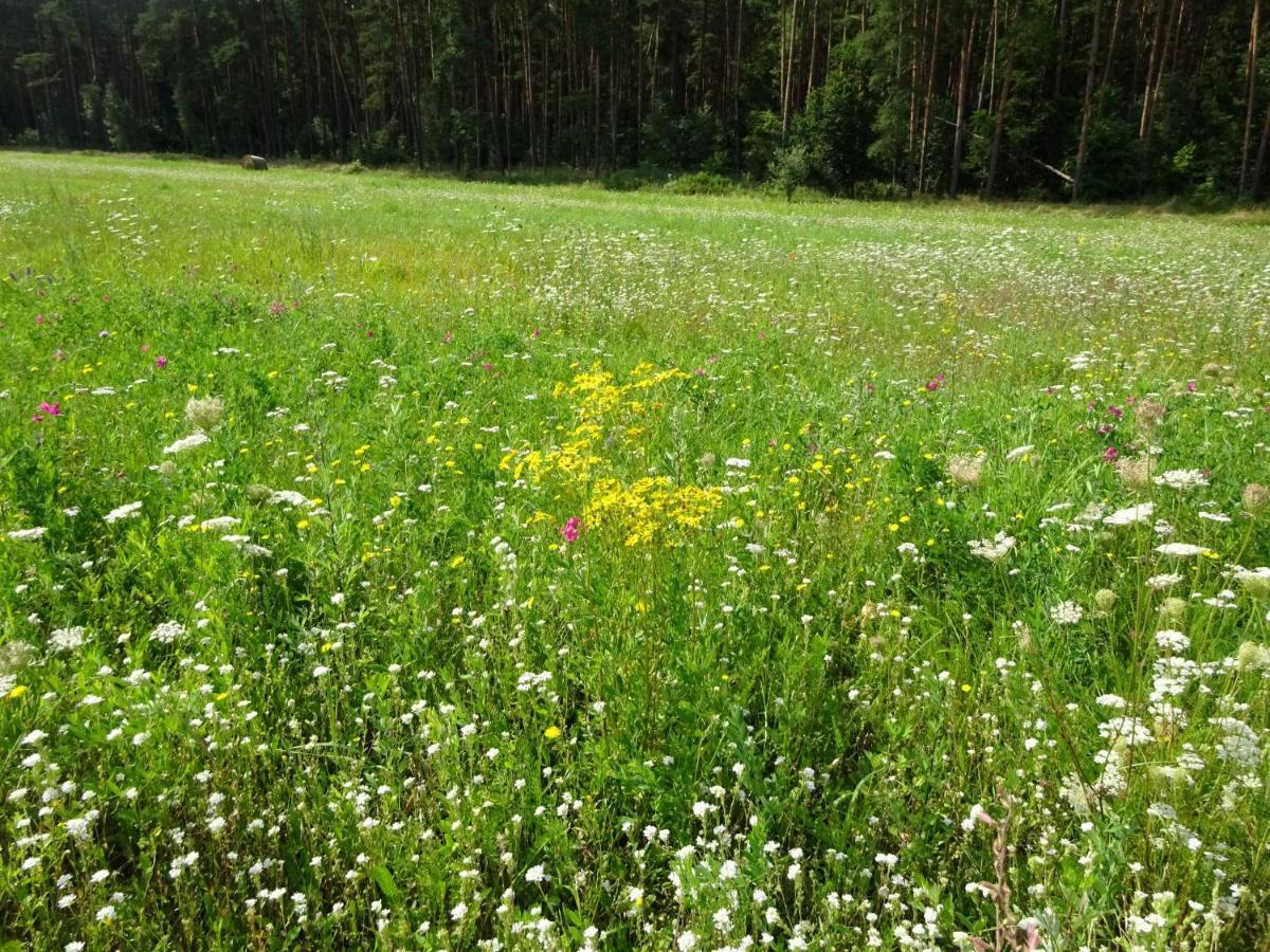 Ferienanlage Waschbaer Country Templin Kültér fotó
