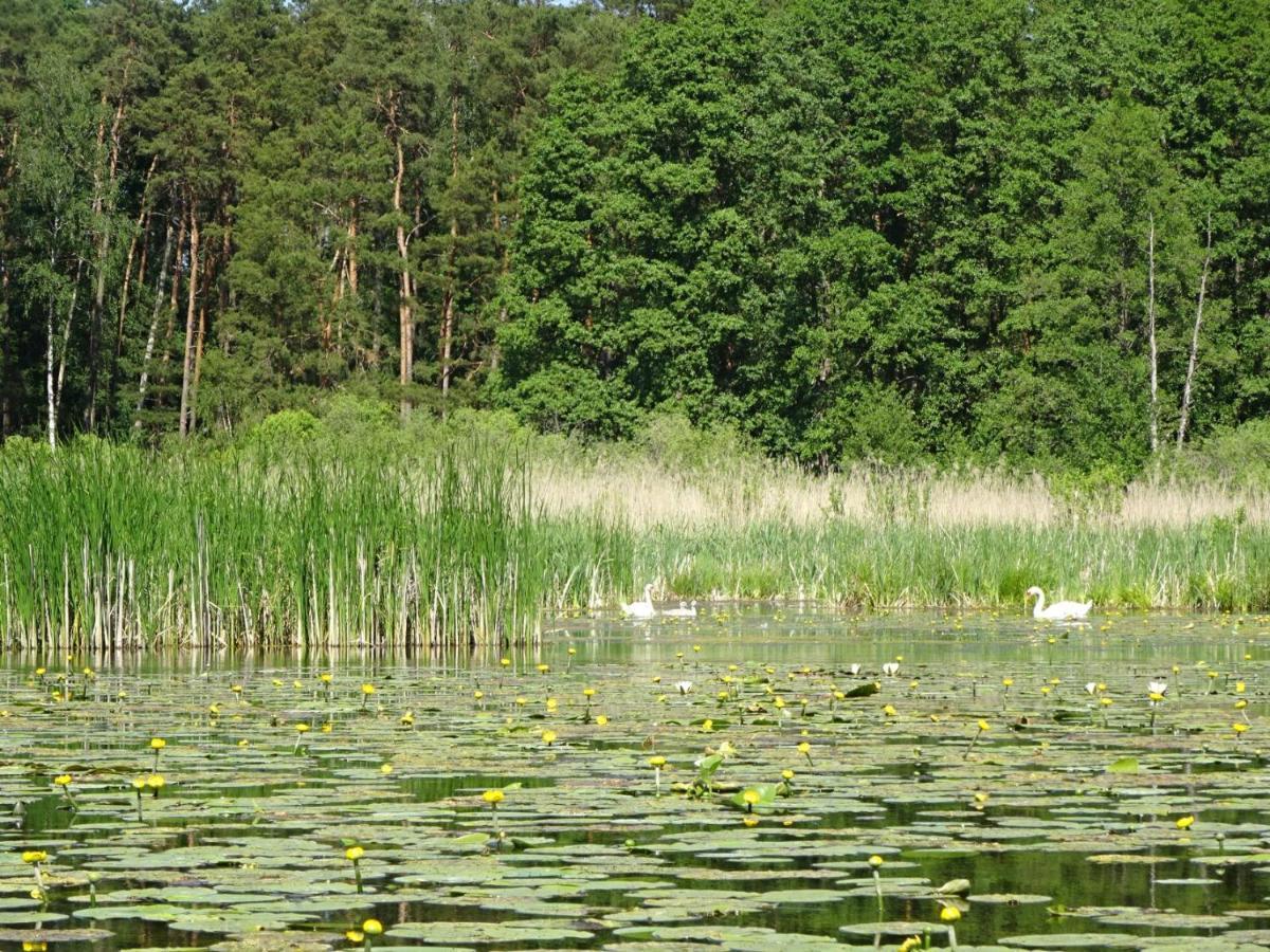 Ferienanlage Waschbaer Country Templin Kültér fotó