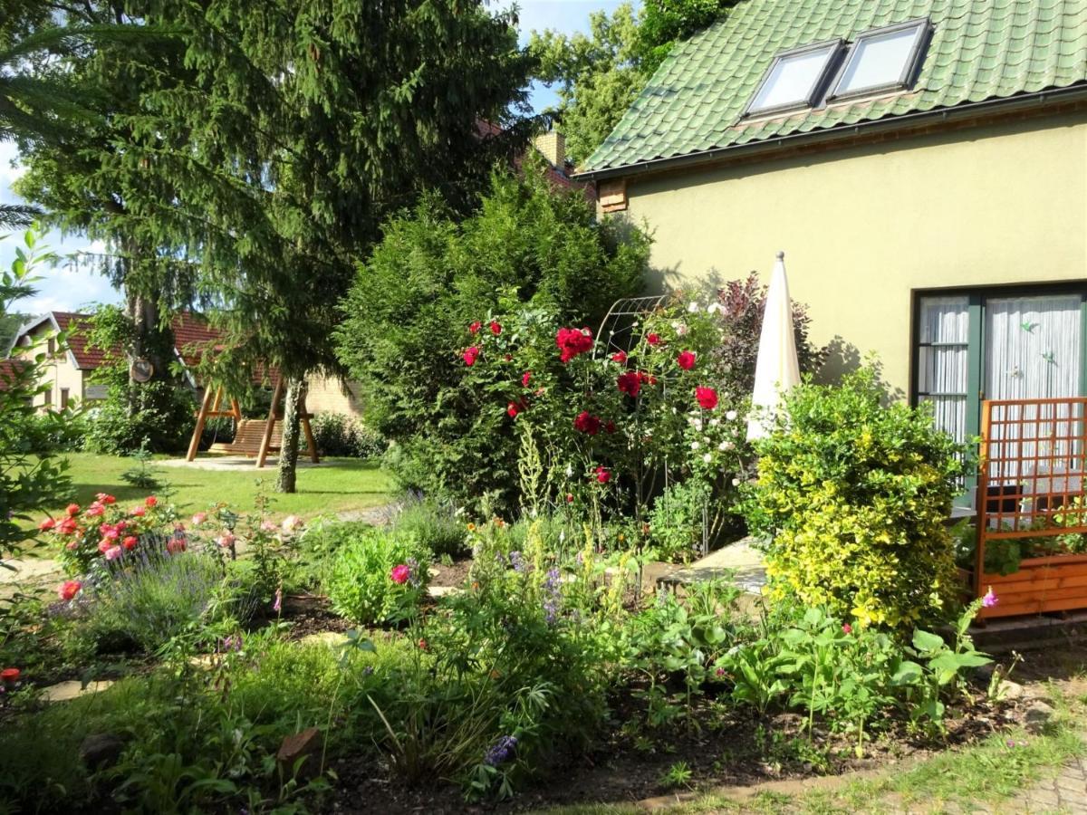 Ferienanlage Waschbaer Country Templin Kültér fotó