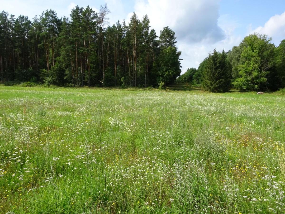 Ferienanlage Waschbaer Country Templin Kültér fotó